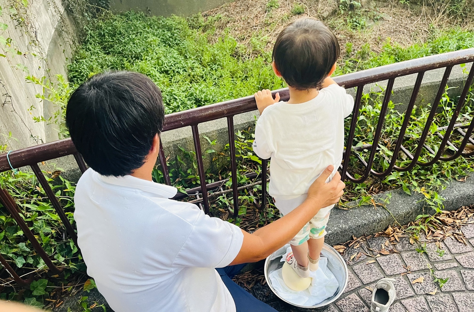 ダチョウの卵