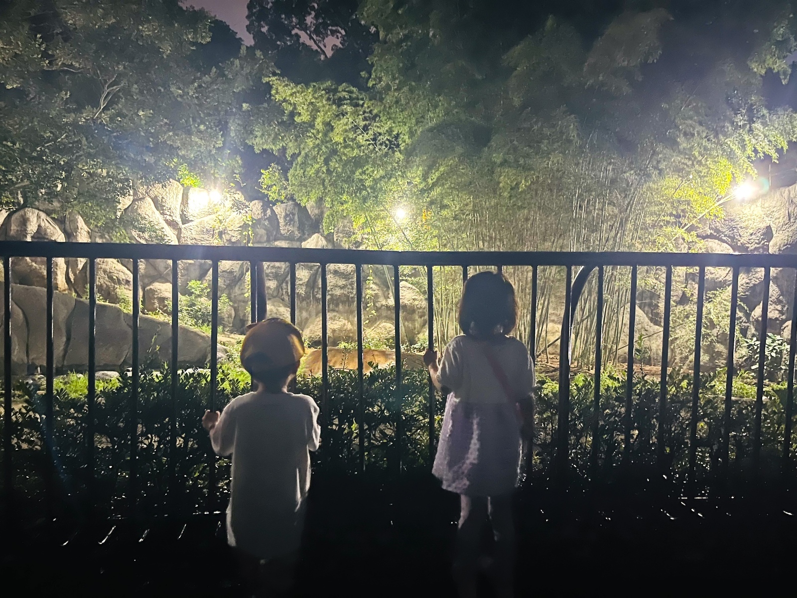 夜