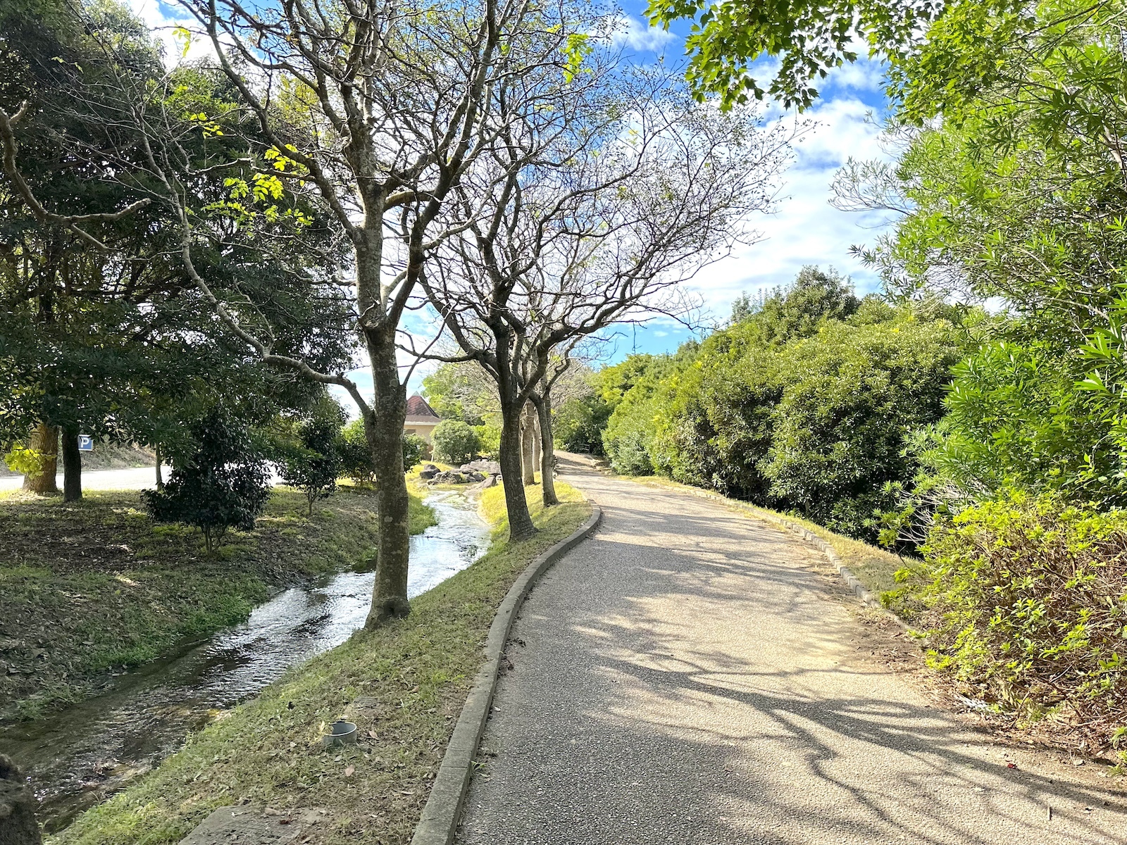 散策路