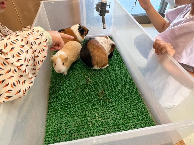 浜松市動物園