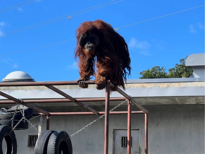 浜松市動物園