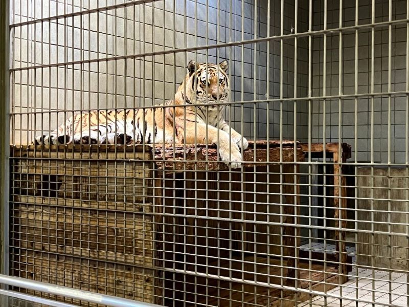 浜松市動物園