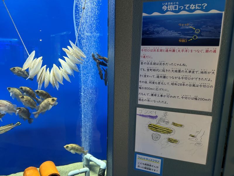 浜名湖体験学習施設ウォット