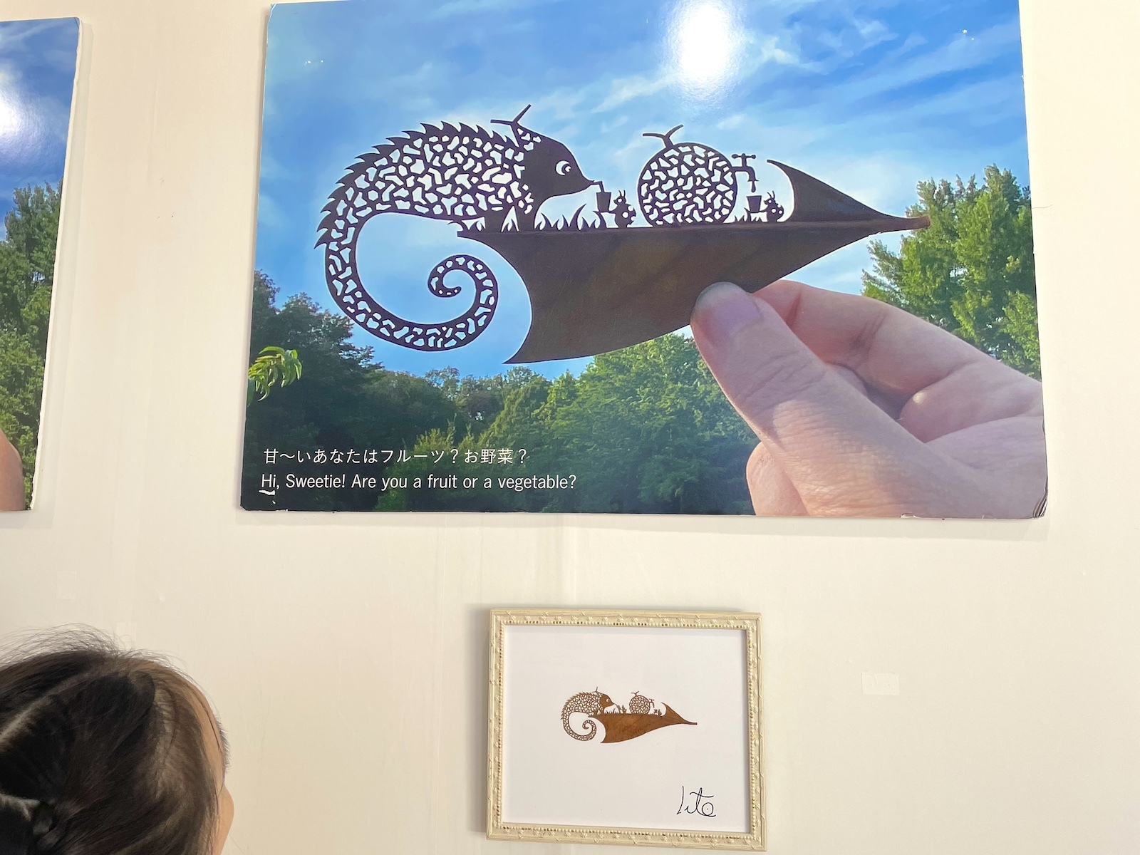 展示