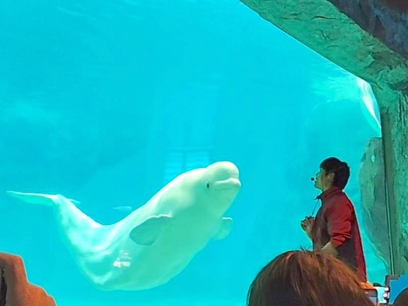 水中