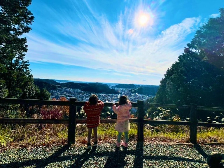 展望台からの風景