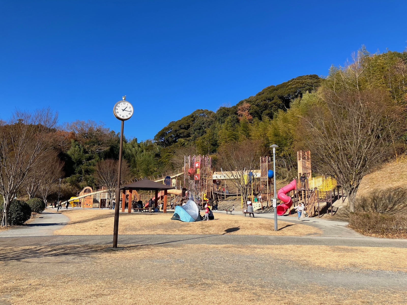 全景