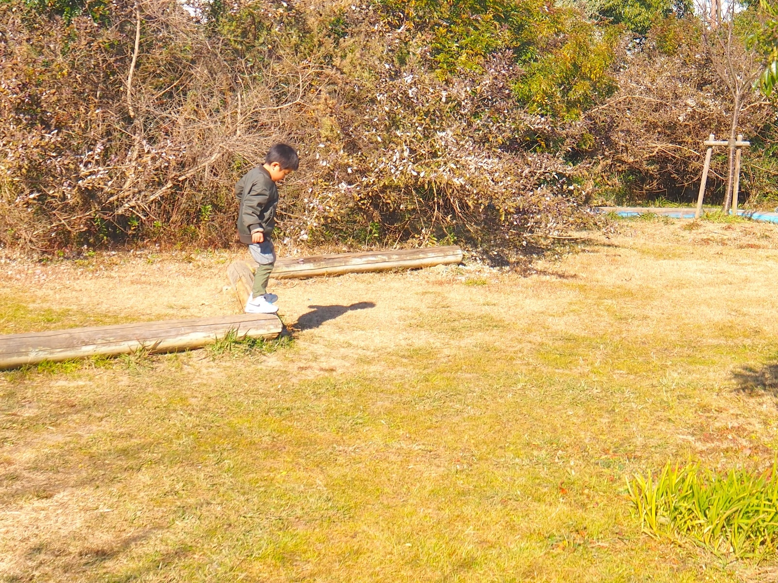 丸太
