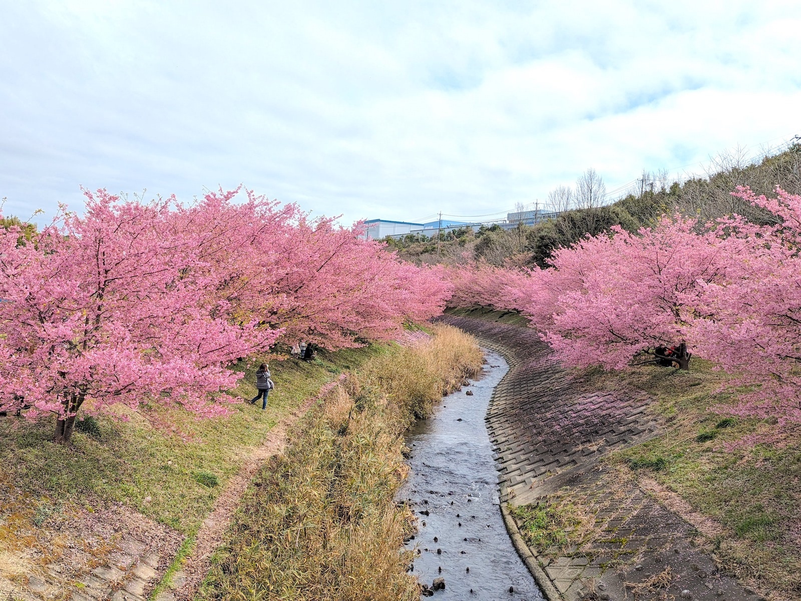 東大山