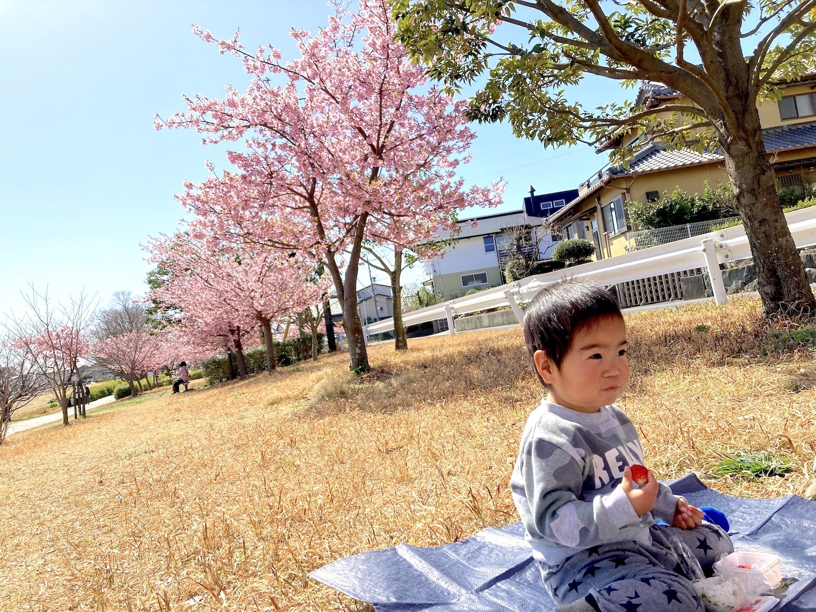 佐鳴湖公園