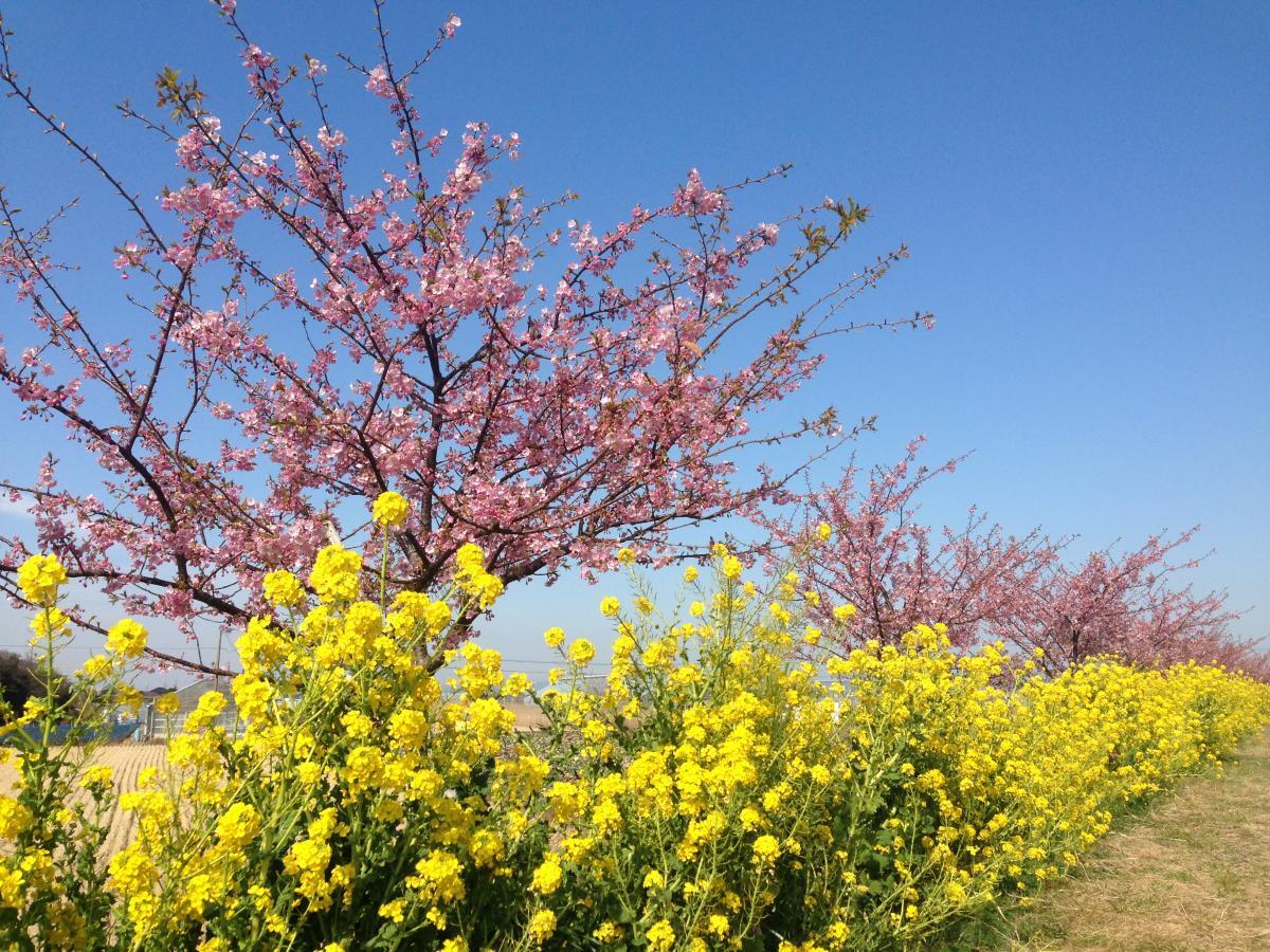 免々川
