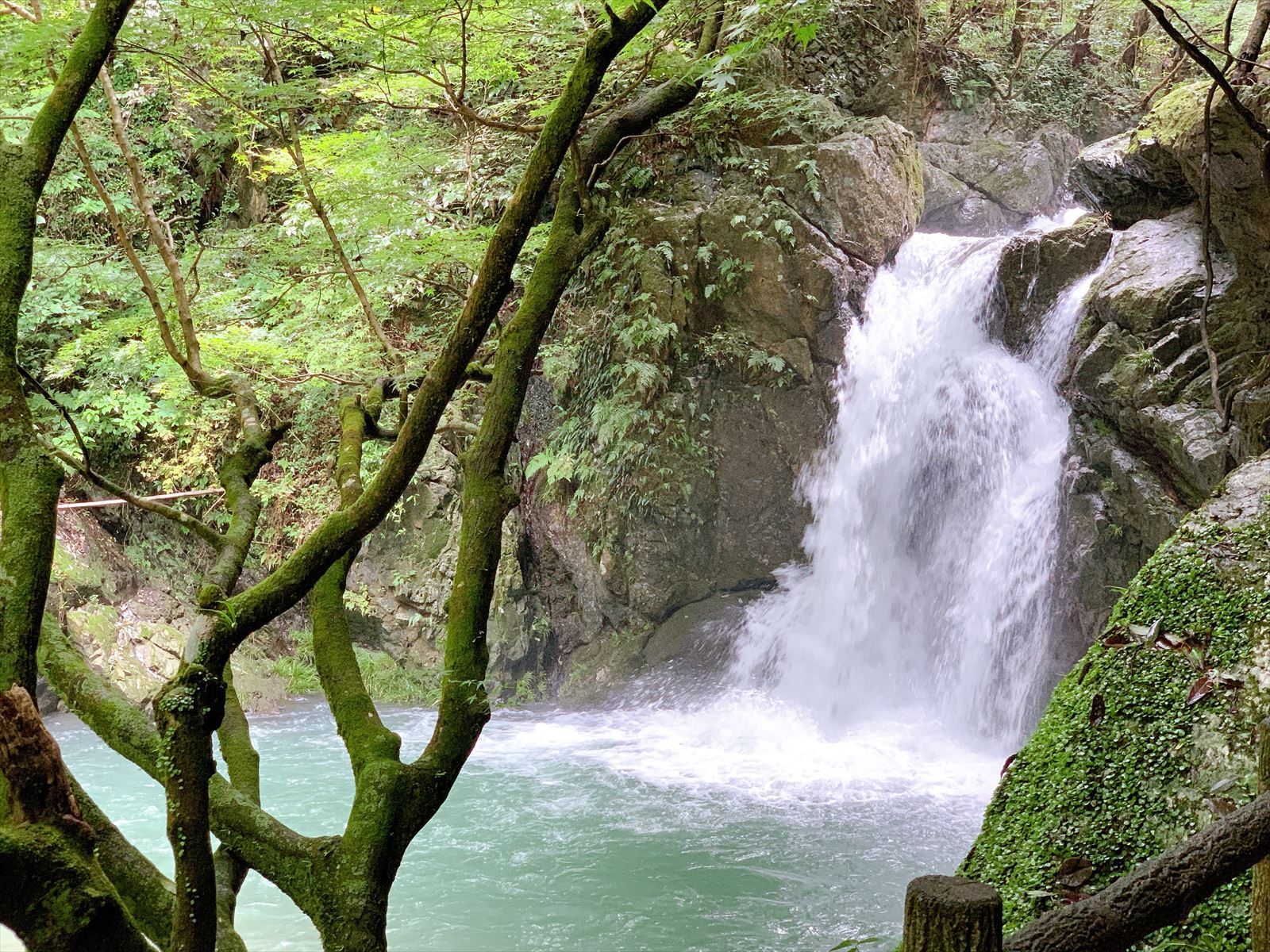 仙巌の滝
