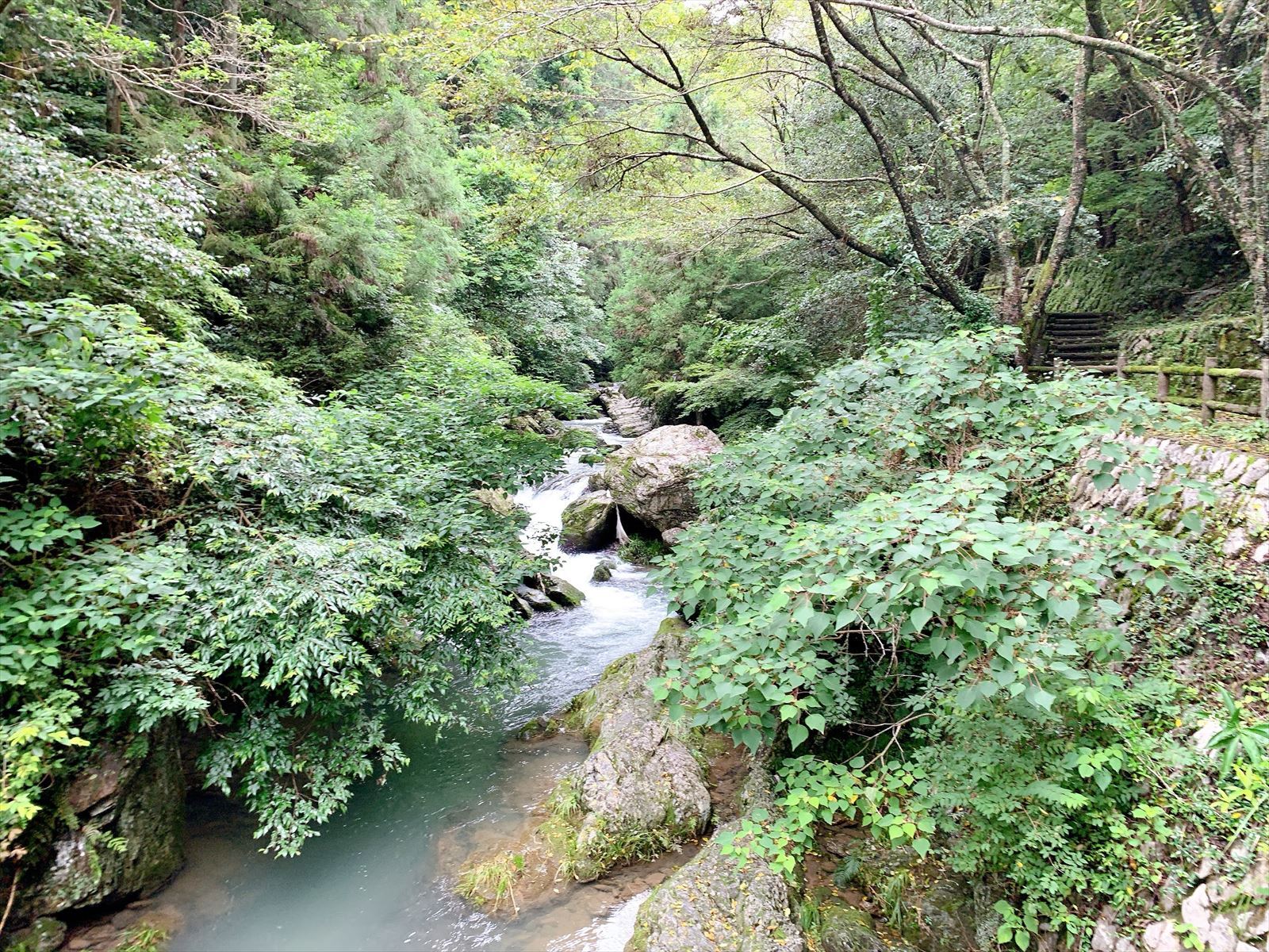 流れる川