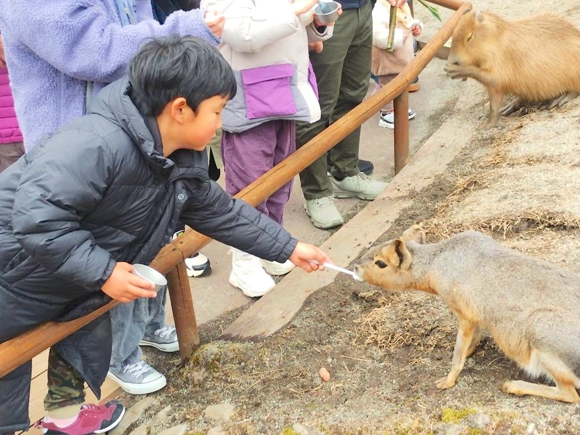 ふれあい