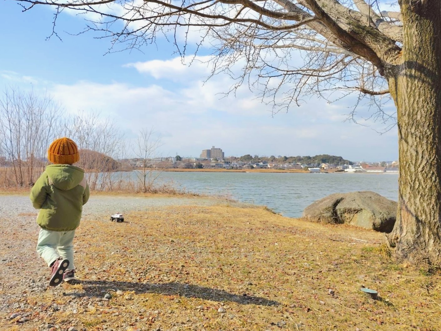 ラジコン後ろ姿