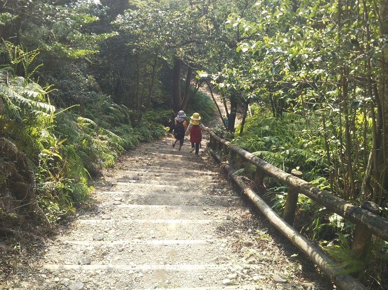 長い階段