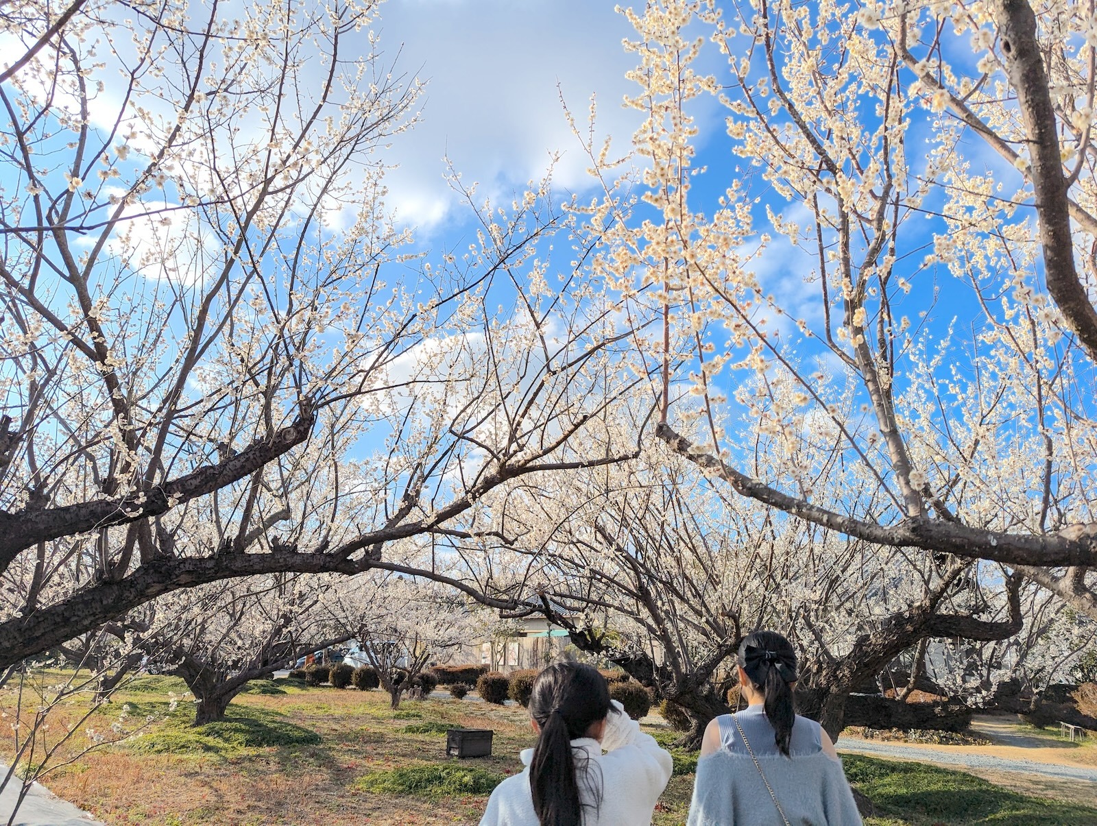 散歩