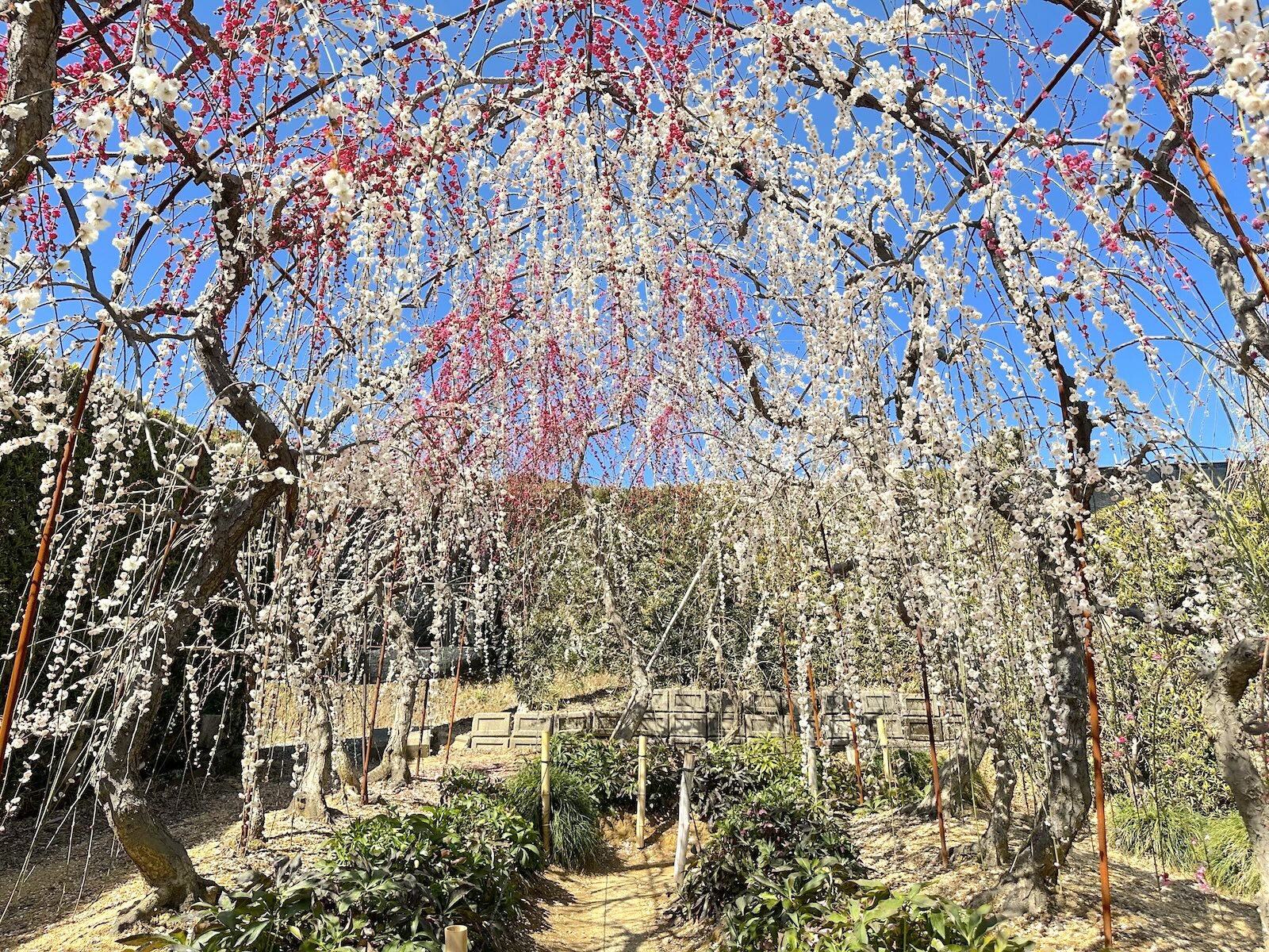 トンネル