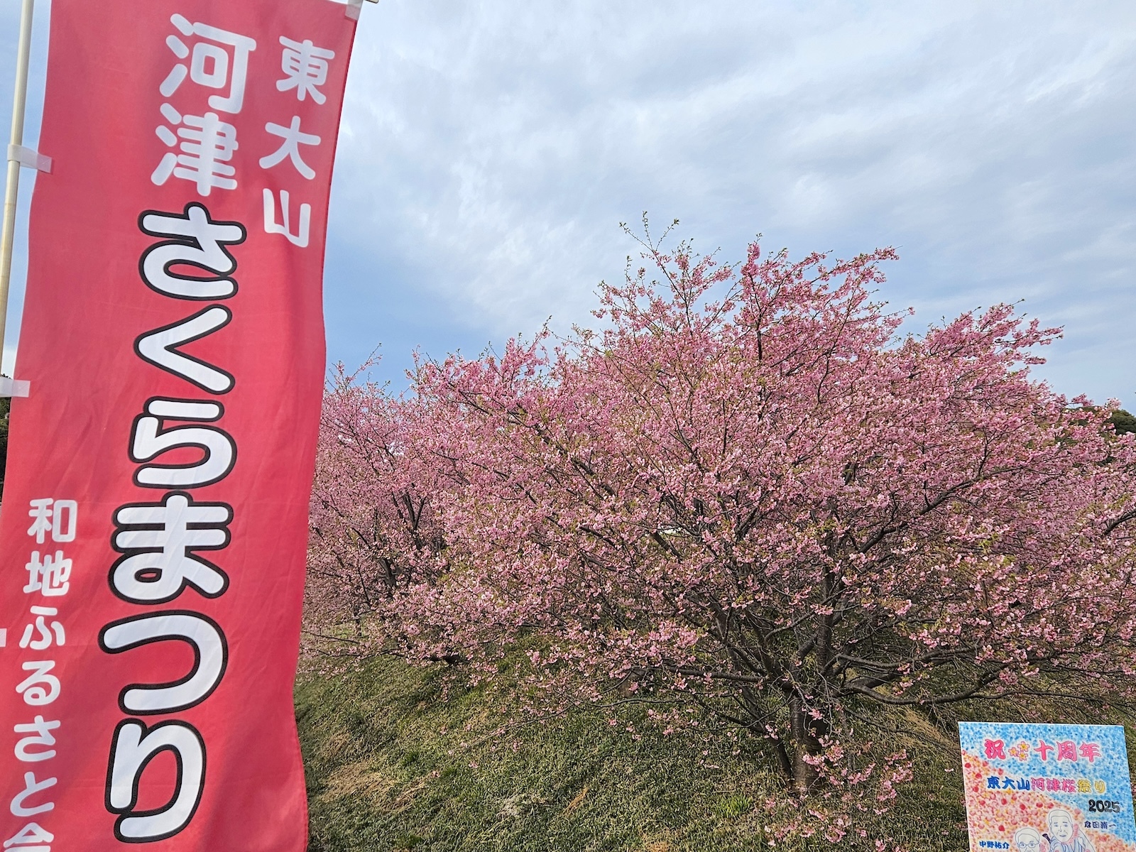 のぼり