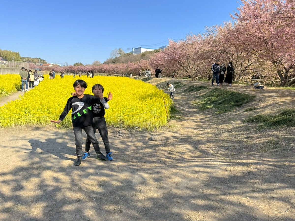 花畑