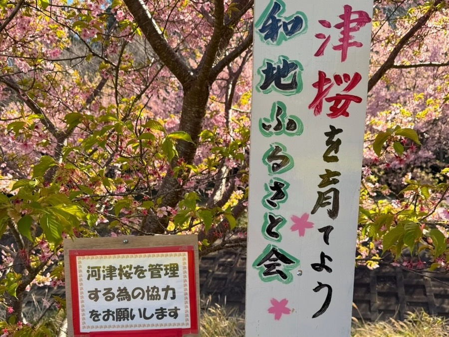 募金