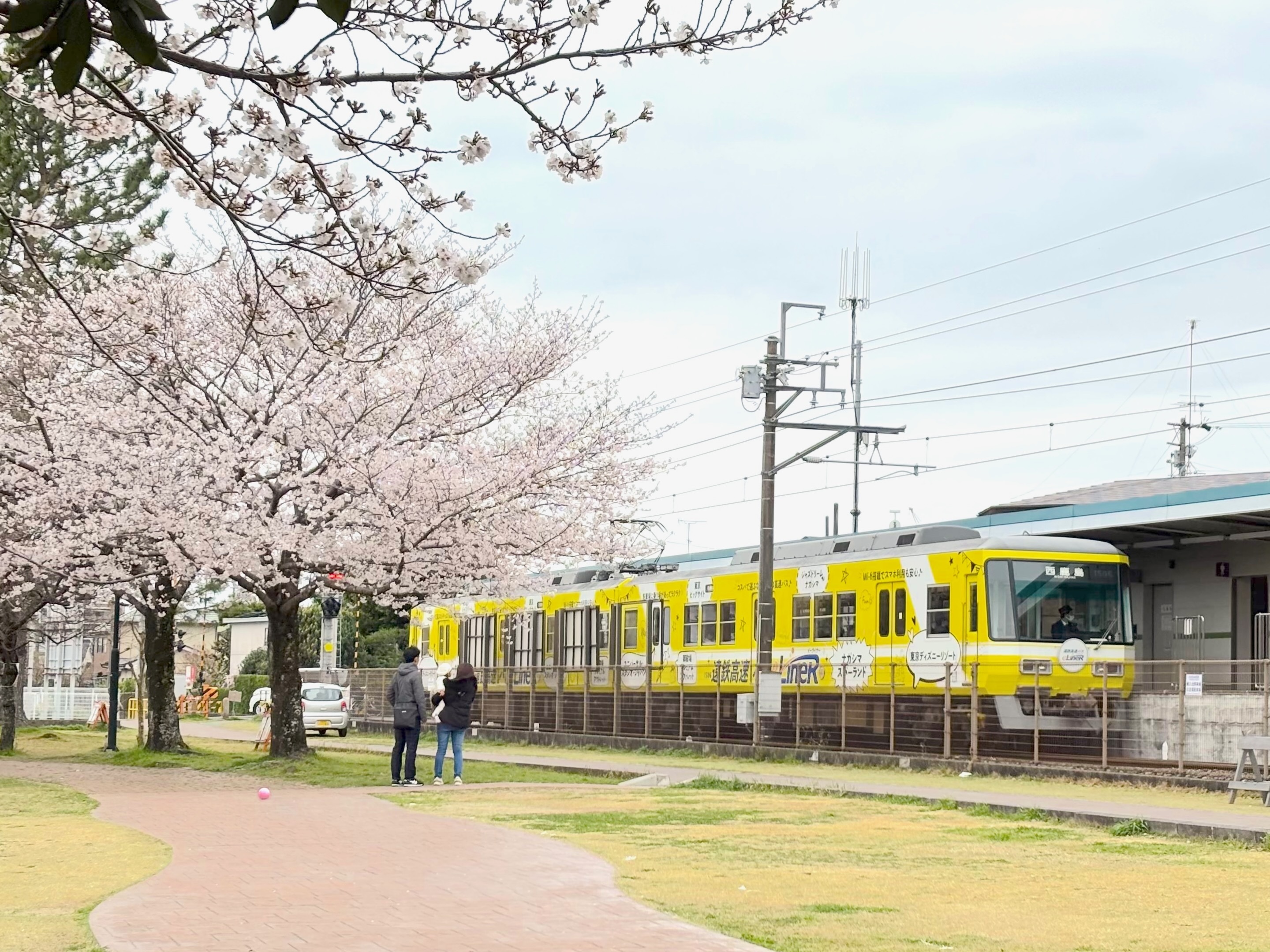 電車と桜