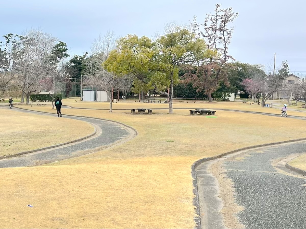全景