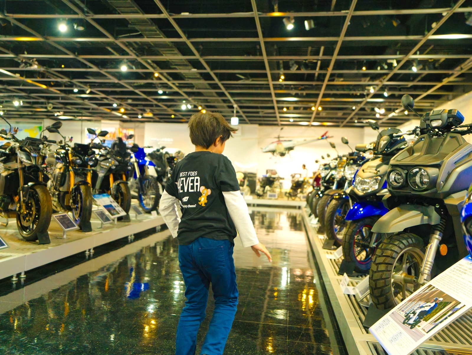 展示