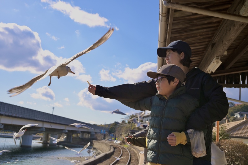 ユリカモメの集まる駅【浜名湖佐久米駅】