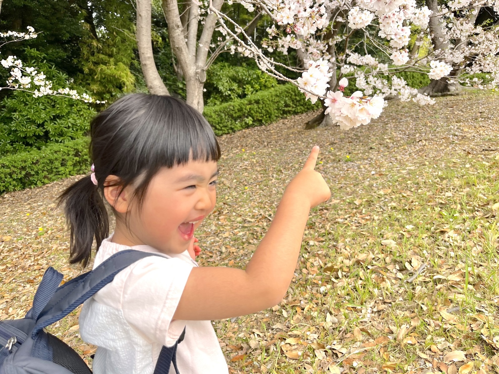 妹