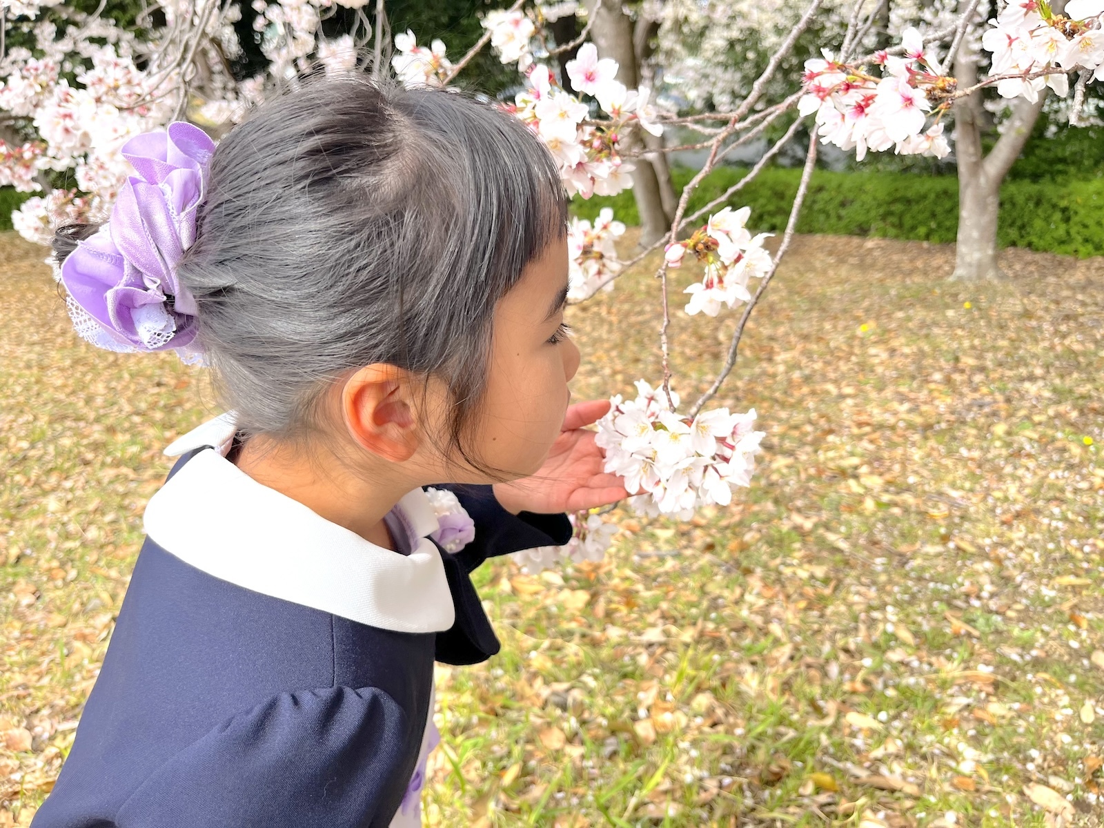 姉
