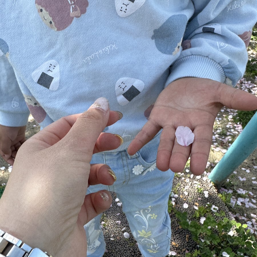 取材ママ きらぴか