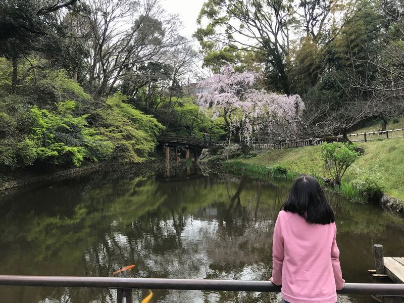 池を眺める