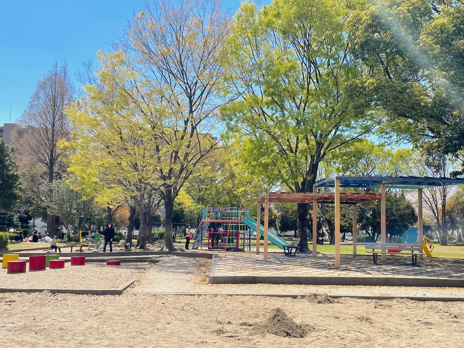 全景