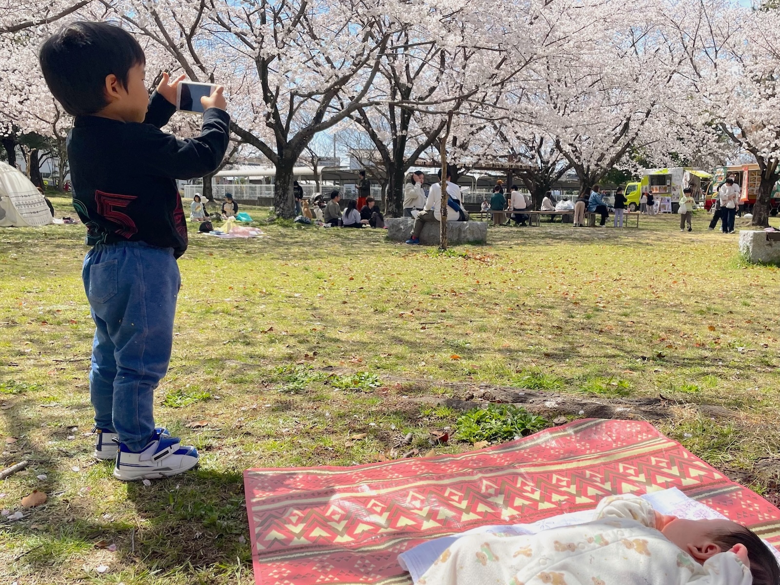 写真を撮る