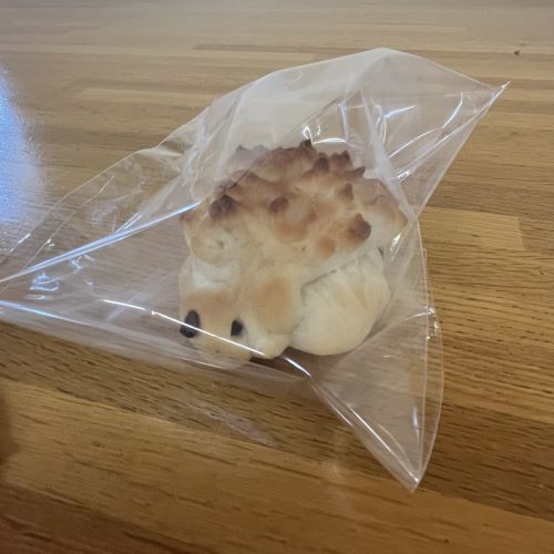取材ママ ぽんち