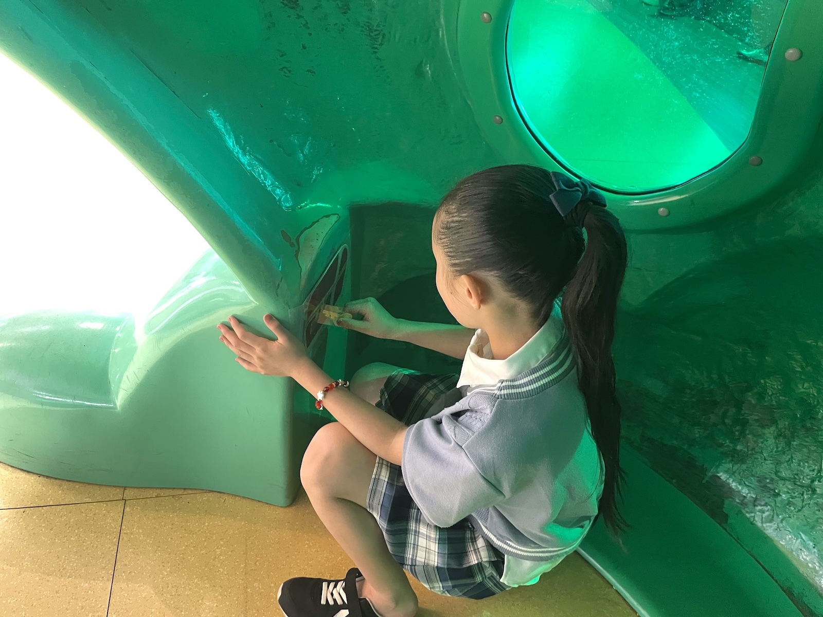 カエルの中