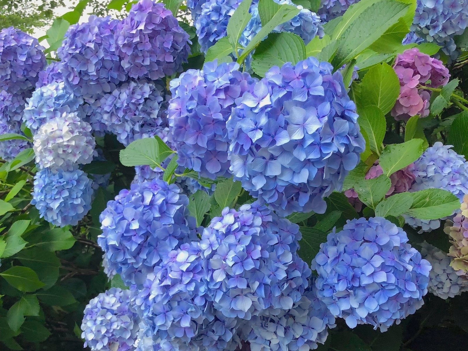 形原温泉