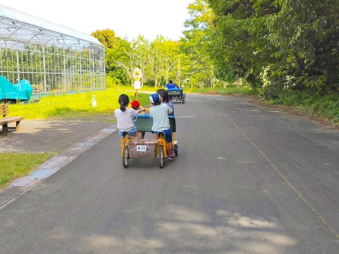 レンタサイクル