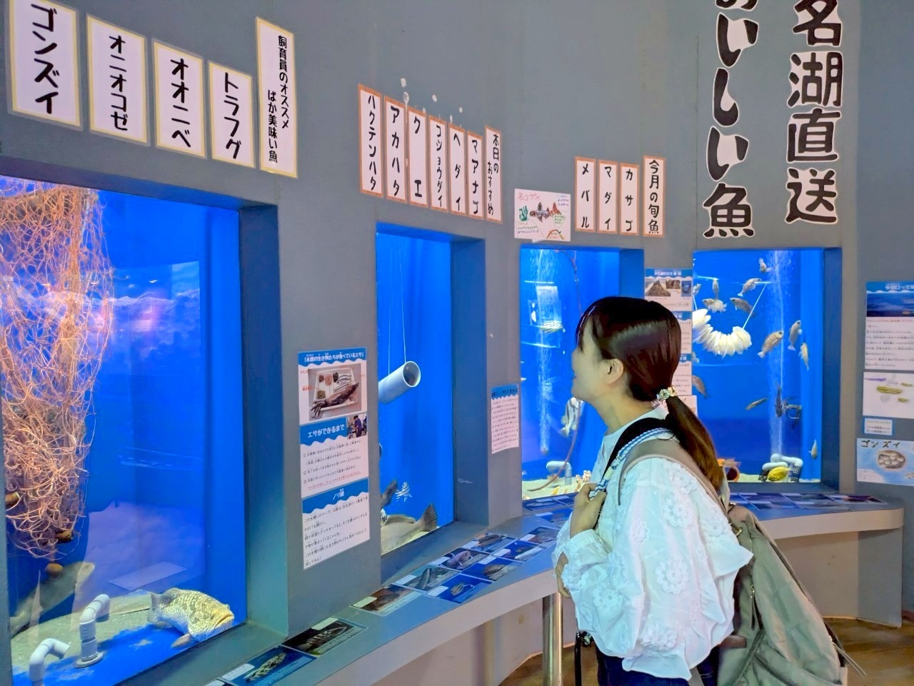 寿司ネタ風