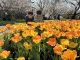 フラワーパークにて