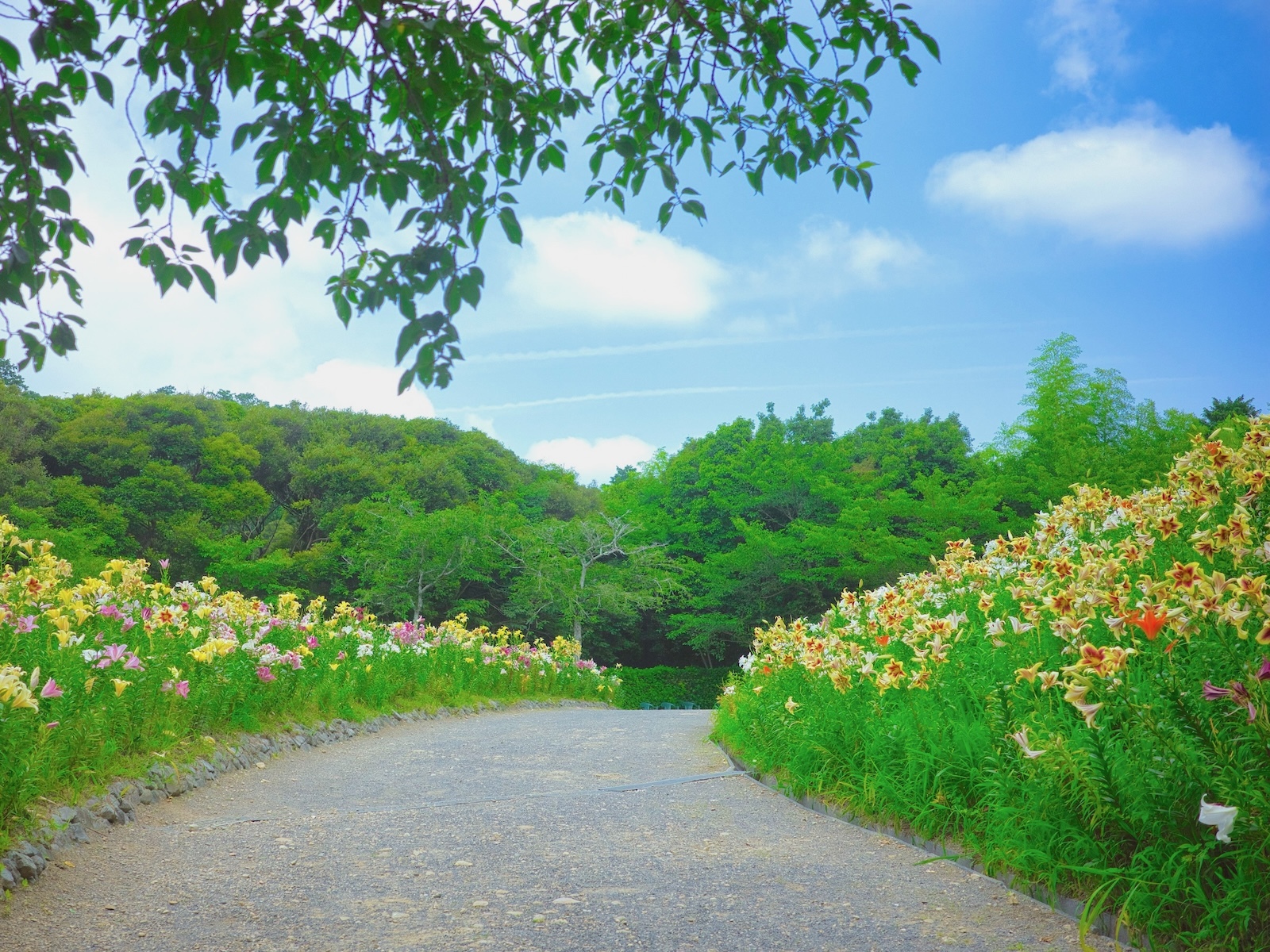 散策路