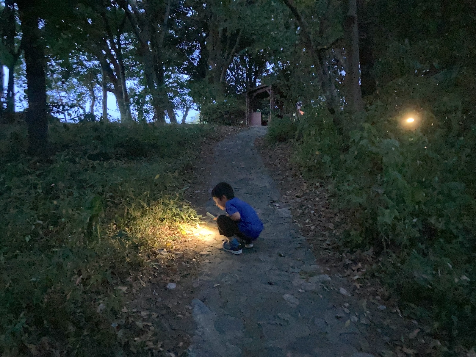 夜の公園