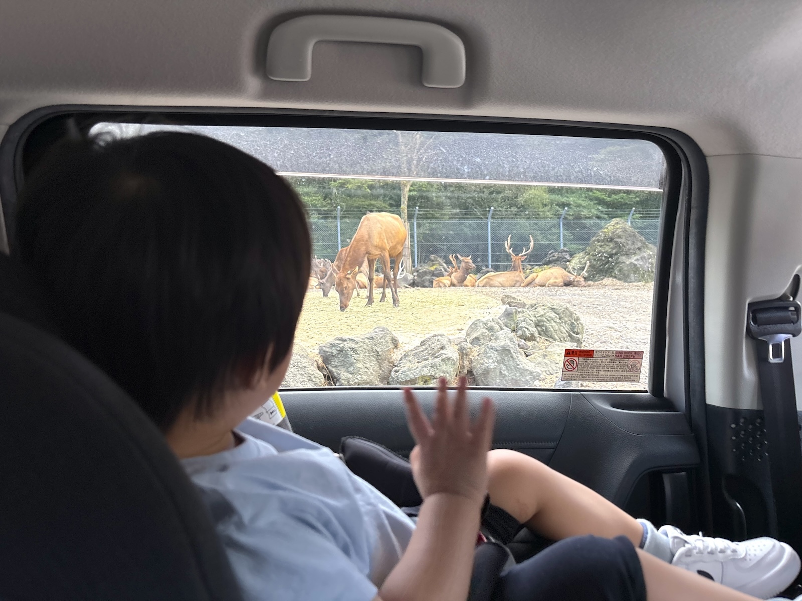 お別れ