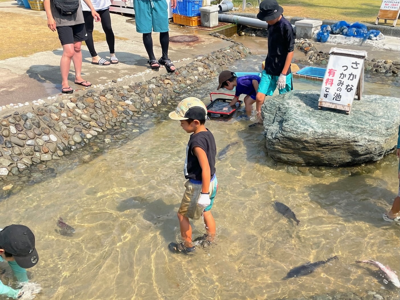 さかなつかみの池