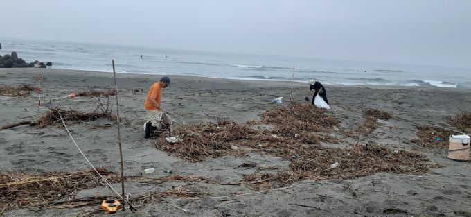 【画像】海ごみの調査