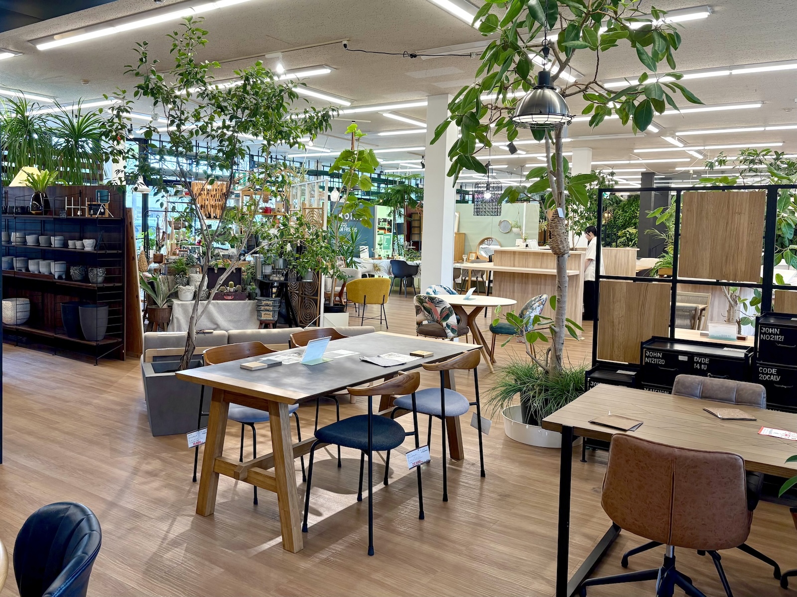 店内