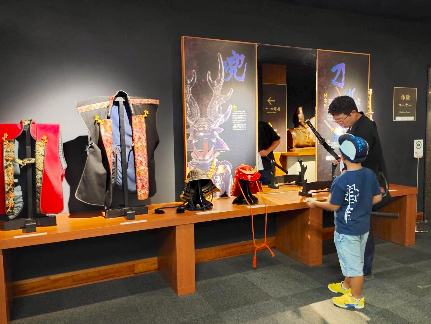 展示