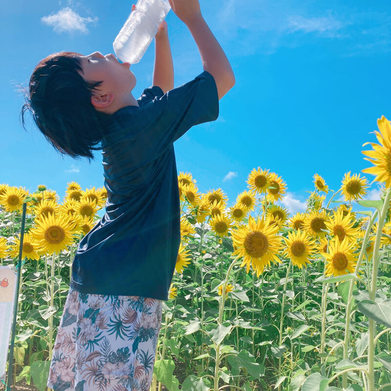 のびろ、ひまわり。のびろ、ぼく。