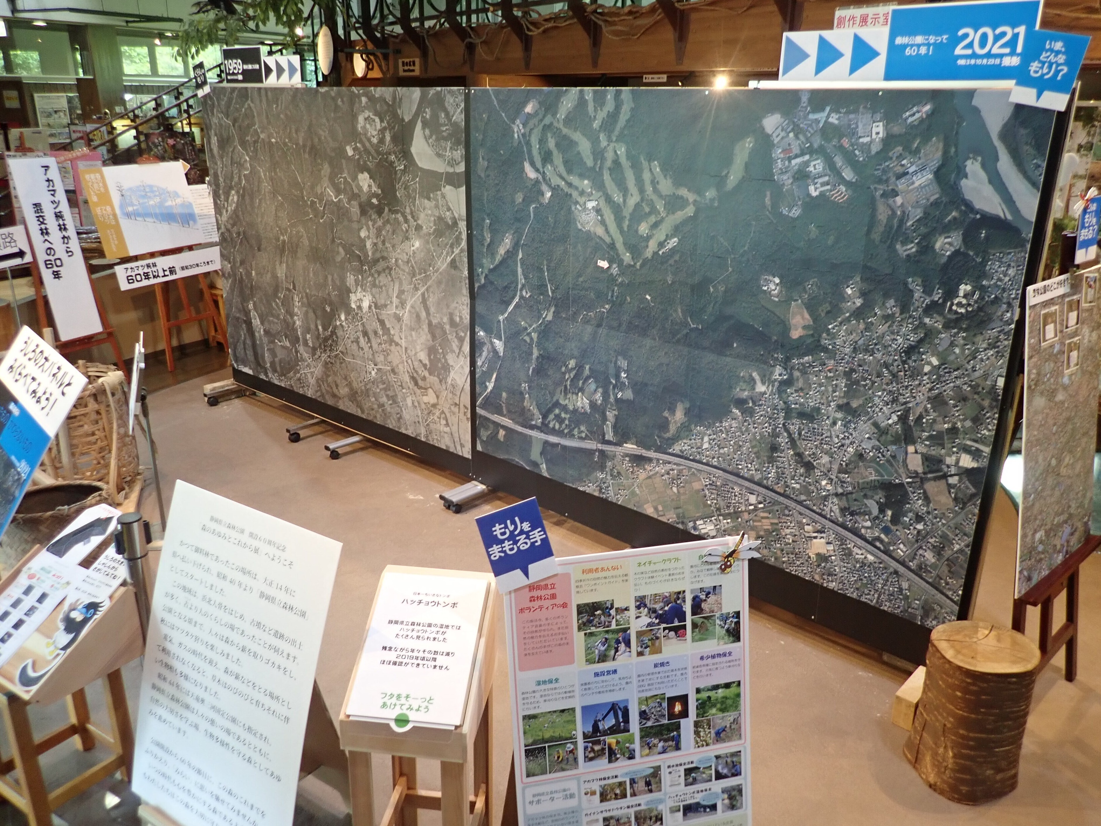 【画像】静岡県立森林公園 60周年記念展　森のあゆみとこれから展